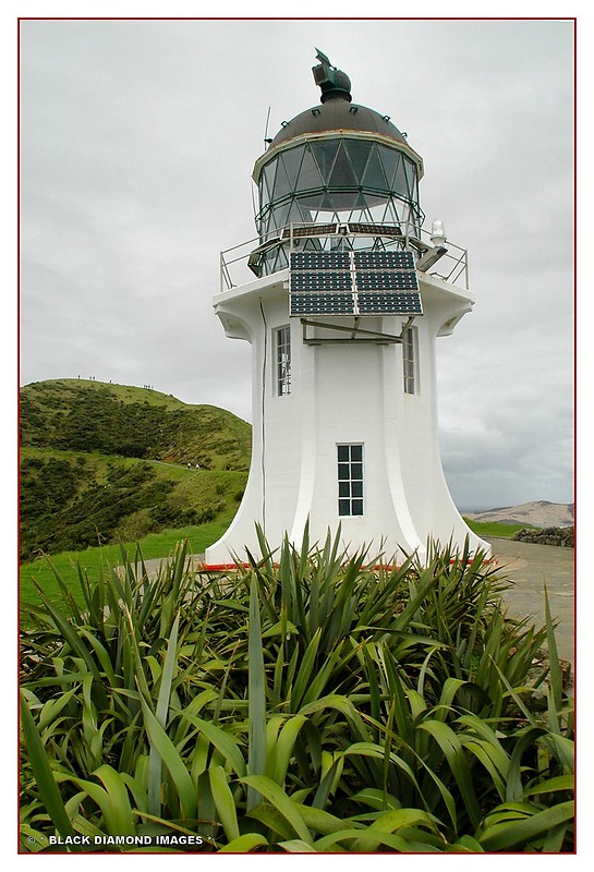 Cape Reinga Lighthouse
Cape Reinga Lighthouse
At the northern most tip of New Zealand. Where Tasman Sea meets Pacific Ocean
Image courtesy - [url=http://blackdiamondimages.zenfolio.com/p136852243]Black Diamond Images[/url]
Published with permission
Keywords: Cape Reinga;New Zealand;Pacific ocean;Tasman sea