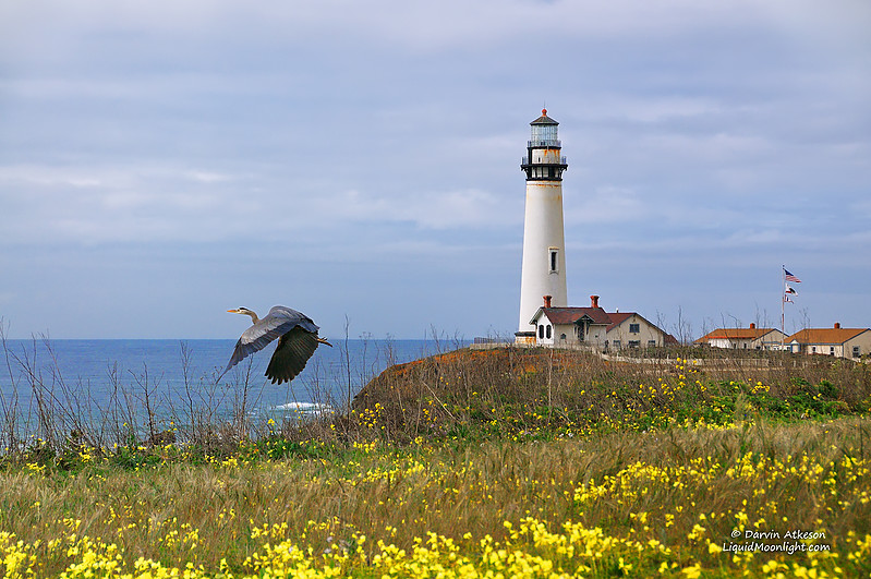California / Pigeon point lighthouse
Author of the photo: [url=http://YosemiteLandscapes.com]Darvin Atkeson[/url]
Keywords: United States;Pacific ocean;California;San Francisco