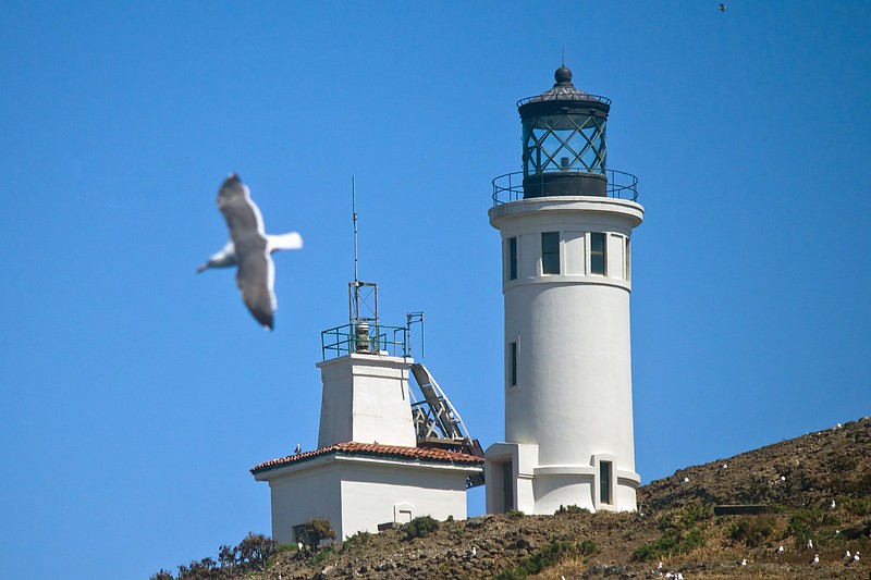 California / Anacapa island lighthouse
Author of the photo: [url=https://jeremydentremont.smugmug.com/]nelights[/url]
Keywords: United States;Pacific ocean;California
