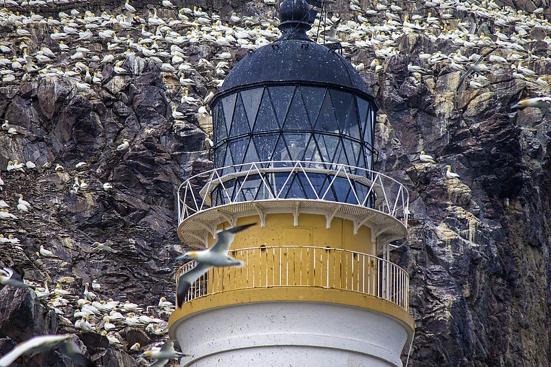 Firth of Forth / Bass Rock lighthouse - lantern
Author of the photo: [url=https://jeremydentremont.smugmug.com/]nelights[/url]
Keywords: Firth of Forth;Scotland;United Kingdom;Lantern