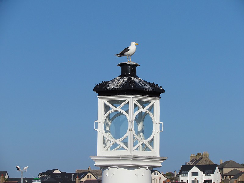 Orkney islands / Kirkwall West Pier lighthouse lantern
Lantern with passenger
Keywords: Orkney islands;Scotland;United Kingdom;Kirkwall;Lantern