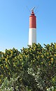 Cap_Couronne_Lighthouse2C_Martigues2C_France1.jpg