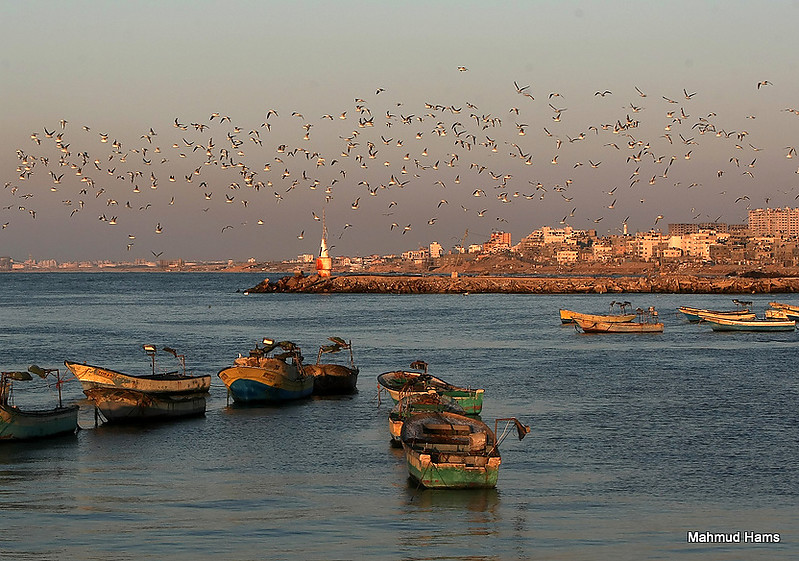 Gaza-city / Harbor Breakwaterhead Light
Keywords: Gaza;Palestinian Authority