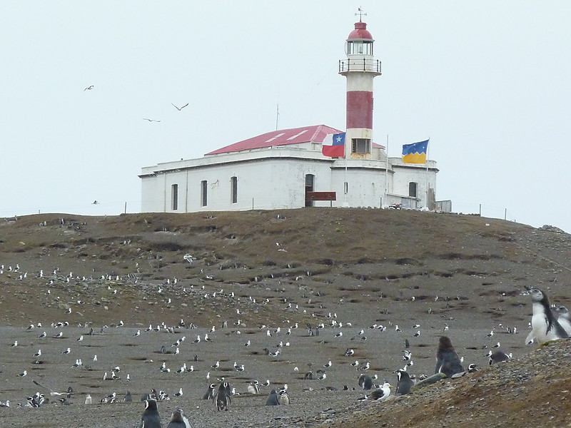 Punta Arenas / Faro Isla Magdalena
2011
Keywords: Chile;Strait of Magellan;