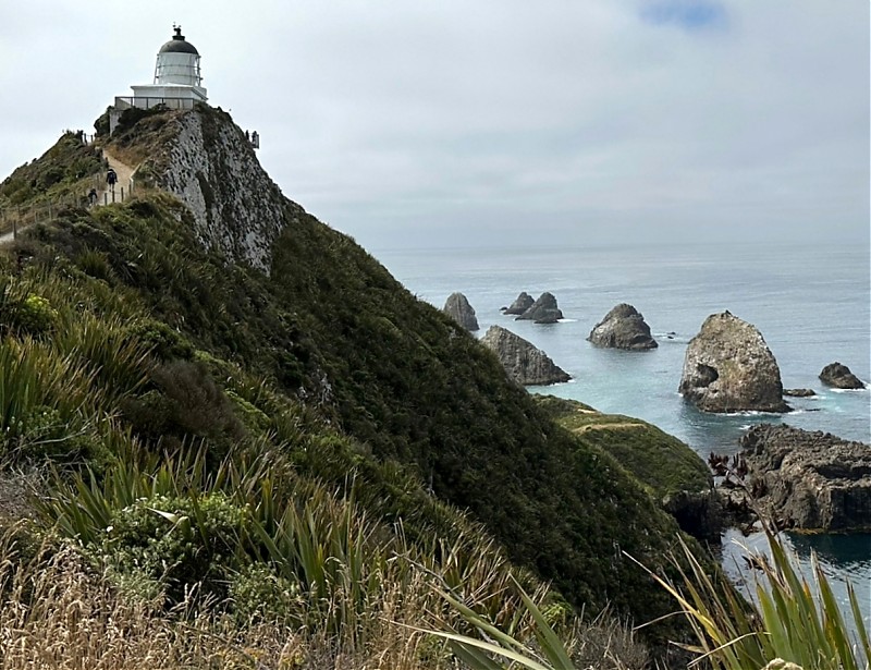 Nugget Point lighthouse
picture: Christoph Anders
Keywords: New Zealand;Pacific ocean;South Island