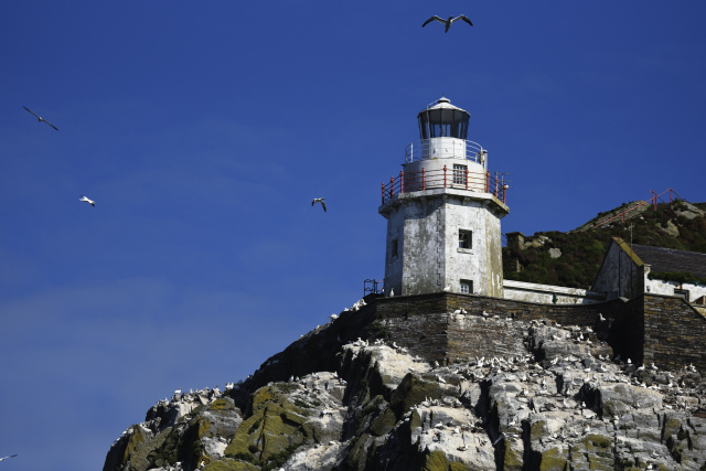 Bull Rock Lighthouse
Keywords: Ireland;Atlantic ocean;Bull Rock