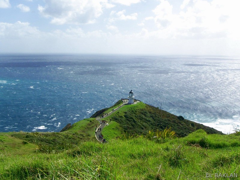 Cape Reinga Lighthouse
Keywords: Cape Reinga;New Zealand;Pacific ocean;Tasman sea
