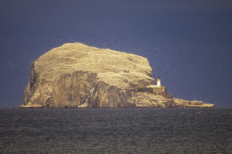 Firth of Forth / Bass Rock lighthouse
Author of the photo: [url=https://jeremydentremont.smugmug.com/]nelights[/url]
Keywords: Firth of Forth;Scotland;United Kingdom