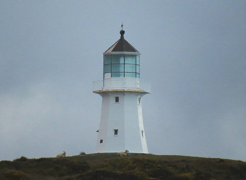 Wellington / Hawkes Bay / Pencarrow Upper (old) Lighthouse
Author of the photo: [url=https://www.flickr.com/photos/larrymyhre/]Larry Myhre[/url]
Keywords: Wellington;New Zealand;Hawkes bay