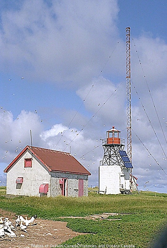 Quebec / Îles de la Madeleine / Rocher aux Oiseaux (Bird Rocks) lighthouse
Source of the photo: [url=https://www.flickr.com/photos/mpo-dfo_quebec/]MPO-DFO Quebec[/url]

Keywords: Quebec;Canada;Gulf of Saint Lawrence;Iles de la Madeleine