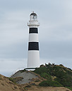 Cape_Campbell_agre.jpg
