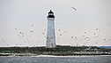 Skillagalee_Island_28Ile_Aux_Galets29_Lighthouse2C_Michigan.jpg