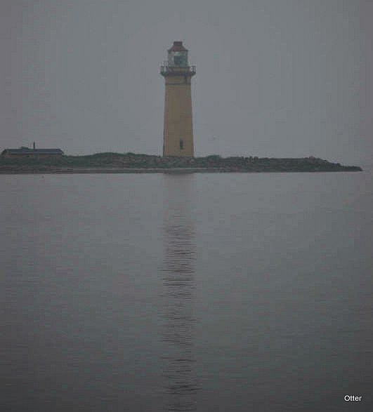 Store Baelt / Omö island / Langeland Öre Lighthouse
Otter saw her in the morning fog after leaving the local harbour.
Keywords: Omo;Denmark;Omosund