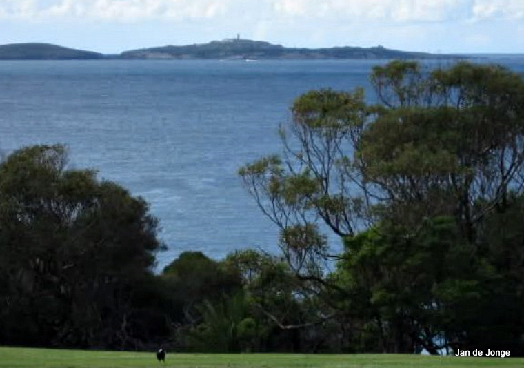 Montaque Island Lighthouse
The lighthouse is seen far out, on the island.
Keywords: New South Wales;Australia;Tasman sea