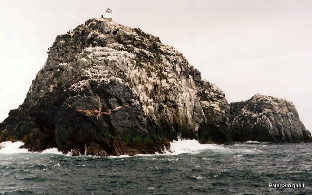 Atlantic Outlier / Comhairle Nan Eilean Siar (Gealic) / Sula Sgeir / Sron na Lice Point / Sula Sgeir Lighthouse
Sula Sgeir is located 11 miles west of North Ronna and 45 miles north of Lewis.
Keywords: Sula Sgeir;Scotland;United Kingdom;Atlantic ocean
