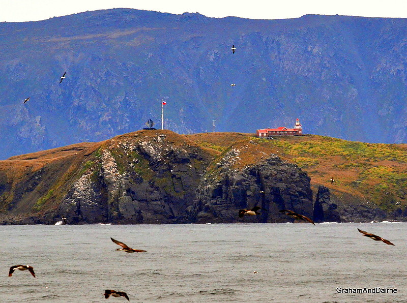 Tierra del Fuego / Isla Hornos / Faro Monumental de Cabo de Hornos (Cape Horn)
There were numoerous cormorants south of the Cape
Keywords: Tierra del Fuego;Chile;Cape Horn