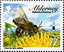 Alderney_stamp_5.jpg