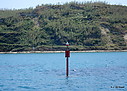 Susak_entrance_28on_the_old_jetty_remains29_E_3038_1-001.JPG