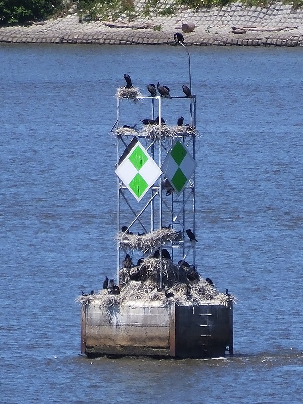 Delaware / DELAWARE RIVER - Bellevue - Grubbs Landing light
Keywords: Delaware;Delaware River;United States;Offshore