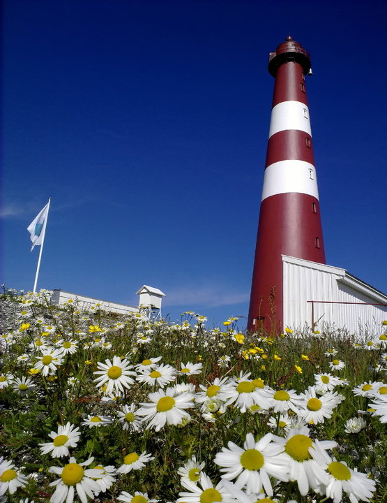 Slettnes Lighthouse
http://en.wikipedia.org/wiki/Slettnes_Lighthouse
http://www.slettneslighthouse.com/
Keywords: Norway;Barents sea;Slettnes
