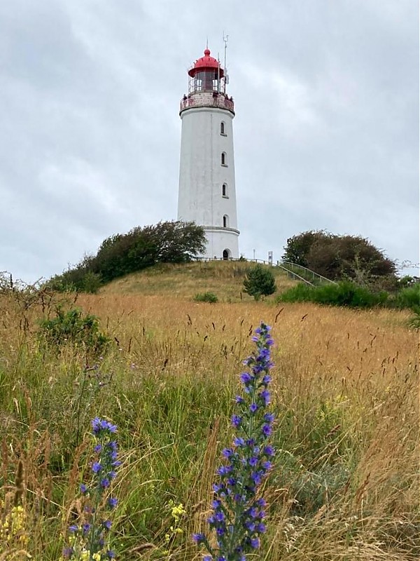 Hiddensee / Dornbusch lighthouse
picture: Klais Peter Pleissner
Keywords: Germany;Mecklenburg-Vorpommern;Hiddensee;Baltic Sea