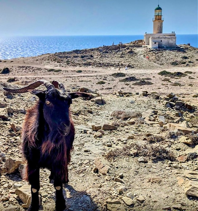 Rhodos / Prasonisi lighthouse
Keywords: Greece;Rhodes;Dodecanese;Mediterranean sea