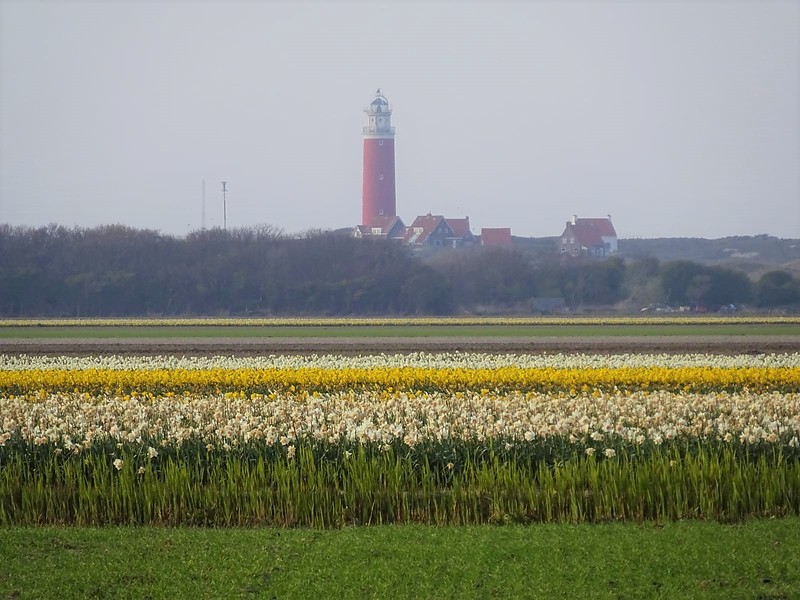 Texel / Eierland lighthouse
Author of the photo: H. Metzger
Keywords: North sea;Netherlands;Texel