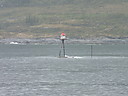 L3542_Steinfjorden.JPG