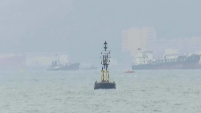 Hong Kong / Green Island buoy
Buoy "Green Island"
Keywords: Buoy