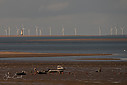 Point_of_Ayr_Lighthouse2C_North_Wales_281_of_129.jpg